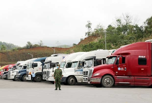 Lạng Sơn tạm dừng tiếp nhận xe chở hoa quả tươi lên cửa khẩu từ ngày 17-1
