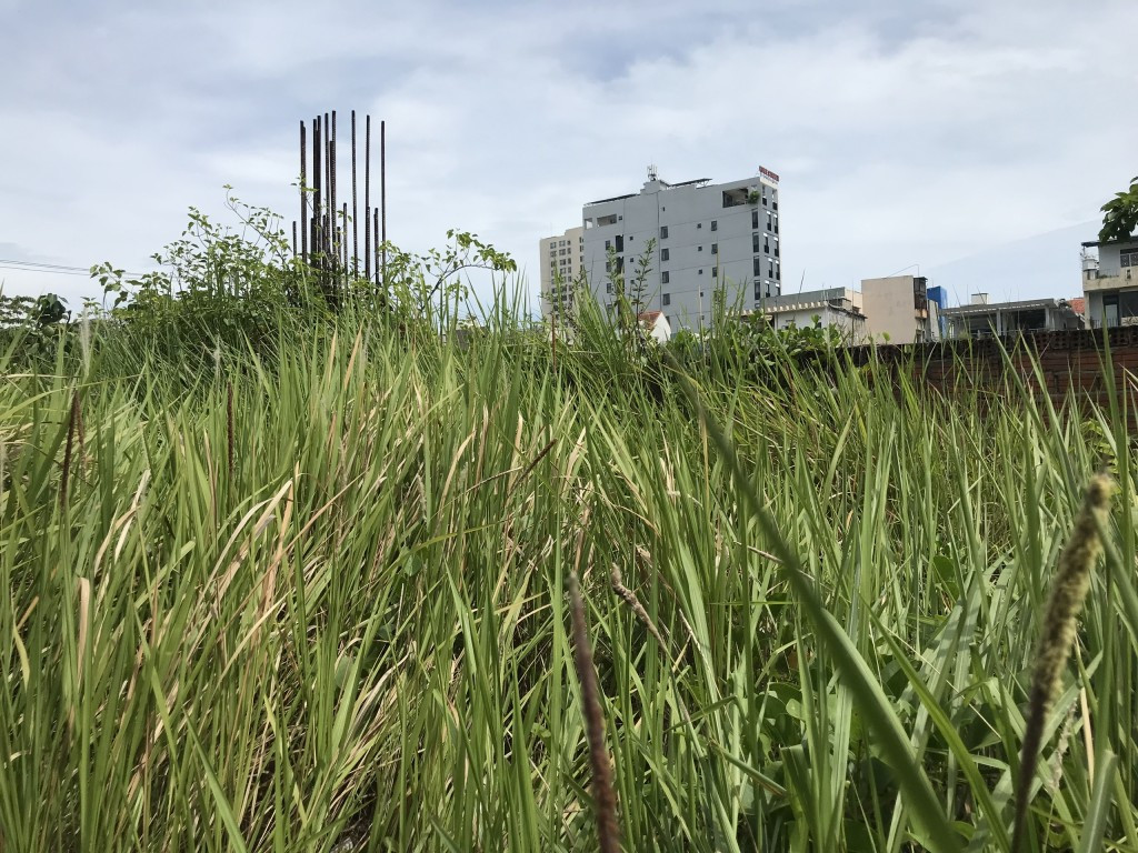 Dự án Đà Nẵng Center do Công ty CP địa ốc Vũ Châu Long làm chủ đầu tư chỉ có vài cọc bê tông, bỏ mặc cho cỏ mọc hoang, nước đọng (Ảnh Út Vũ)