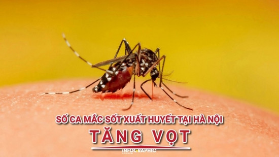Số ca mắc sốt xuất huyết tại Hà Nội tăng vọt